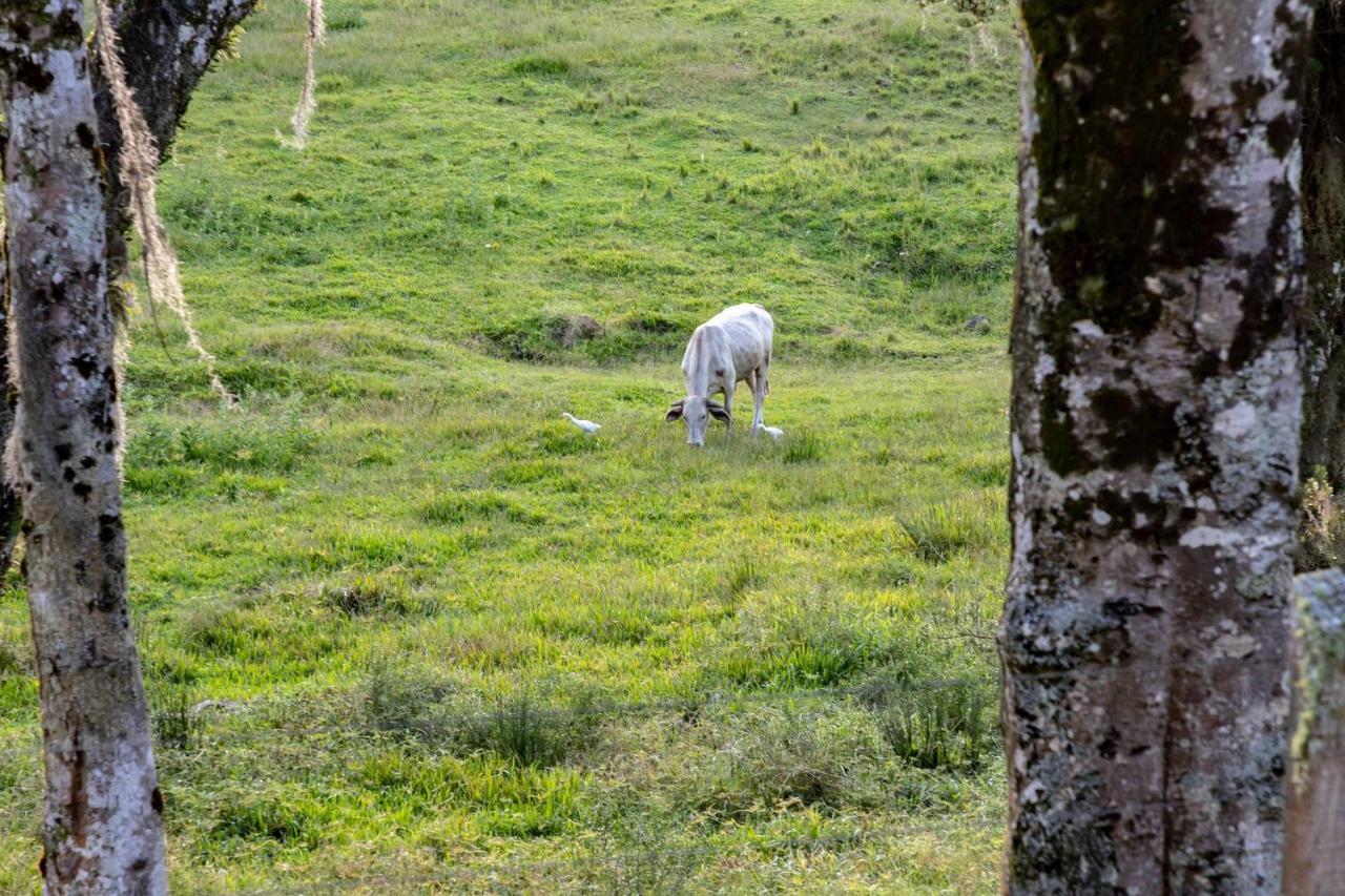 Vila Locar-In Gramado - Chacara Bela Vista Exteriér fotografie